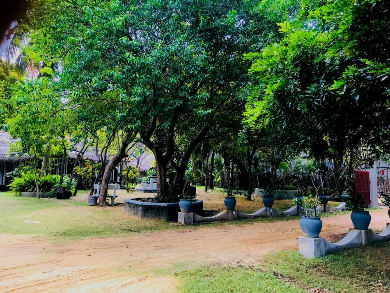 קלפיטייה Werala Beach Resort מראה חיצוני תמונה